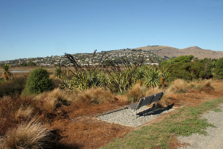 Image of Ti Rakau Reserve in Ferrymead Christchurch